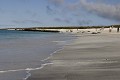 Touristes sur la plage de bahia Gardner -  île de Espaà±ola - Galapagos Ref:37000