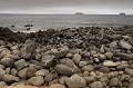 Grève, l'île de Noth Seymour - Galapagos  Ref:37009