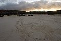 Plage de sable Blanc et traces d'otaries - ïle de Santa Fé -  Galapagos Ref:37012