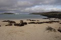  
 Galapagos 
 Equateur 
 Parc National des Galapagos 
 Plage 
 Ciel nuageux  